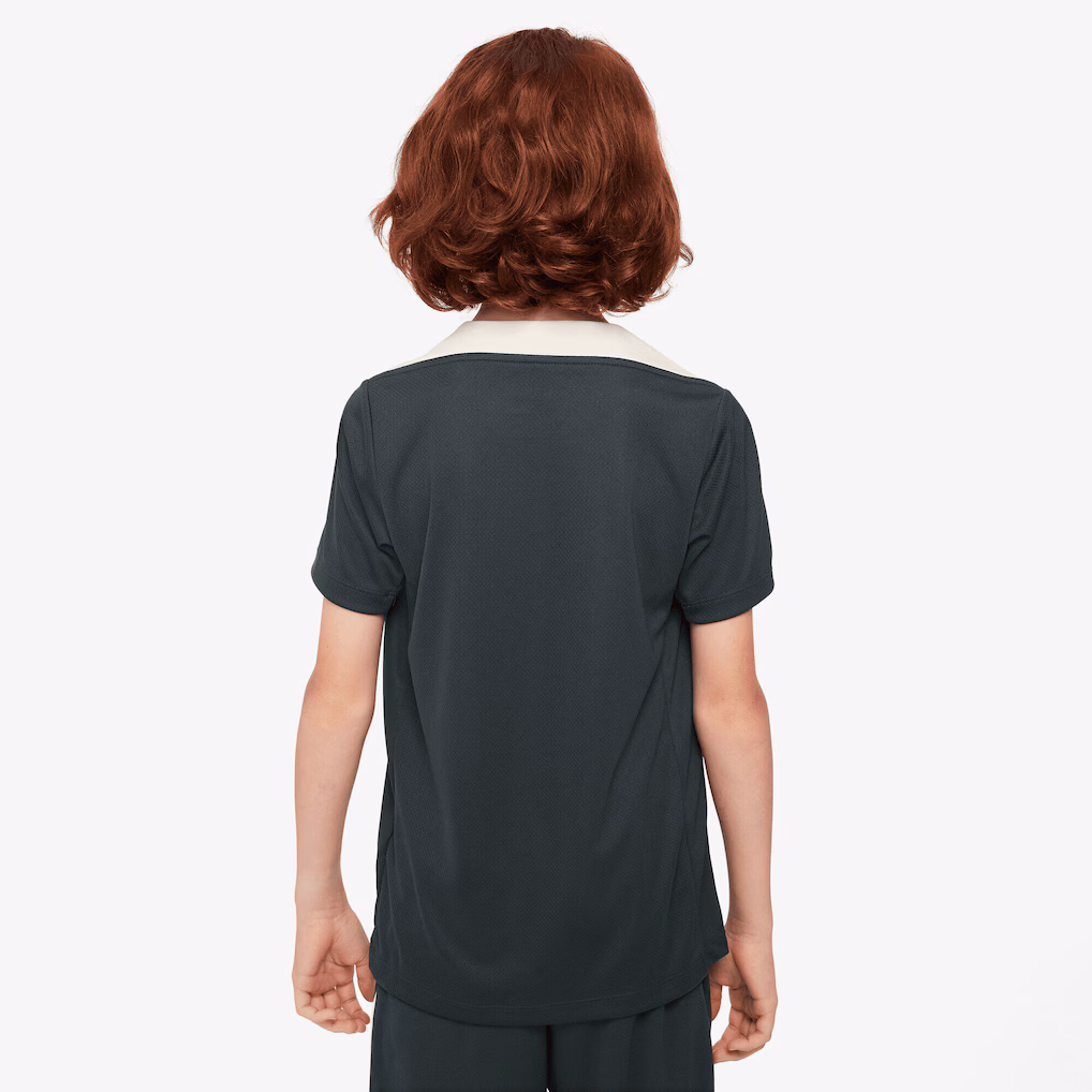 Chelsea Chelsea Nike Strike Training Top – Green – Kids Jerseys - Premium Chelsea Gear